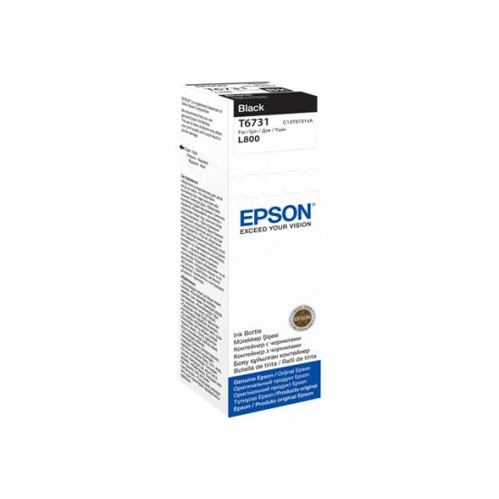 EPSON Patron T6731 Black