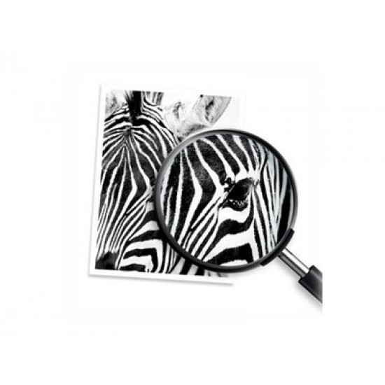 HP Patron 3JB05AE (304) Multipack HP Patron 3JB05AE (304) Multipack