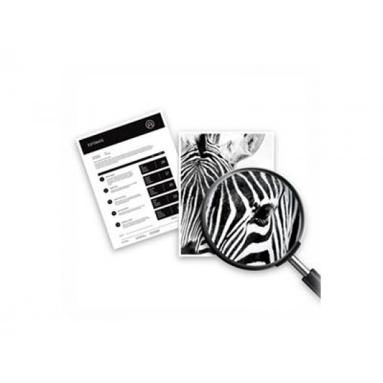 HP Patron 3JB05AE (304) Multipack HP Patron 3JB05AE (304) Multipack