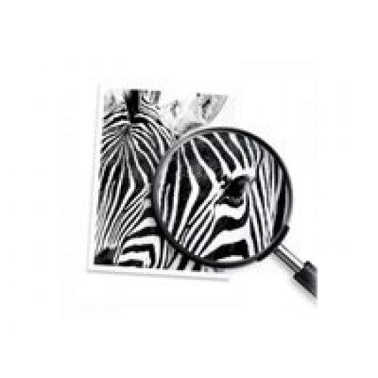 HP Patron 3JB05AE (304) Multipack HP Patron 3JB05AE (304) Multipack