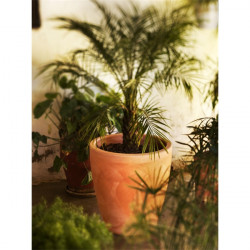 NG Violeta 30 terrakotta kaspó (JDNVL030TXNW)