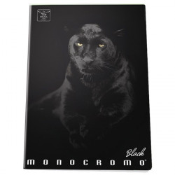 Pigna Moncromo Black Panther A5 sima notesz (P1111-0533)