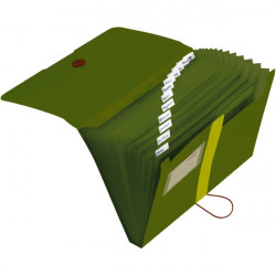Herlitz easy orga to go GREEN zöld PP A4 rekeszes mappa (11411253)