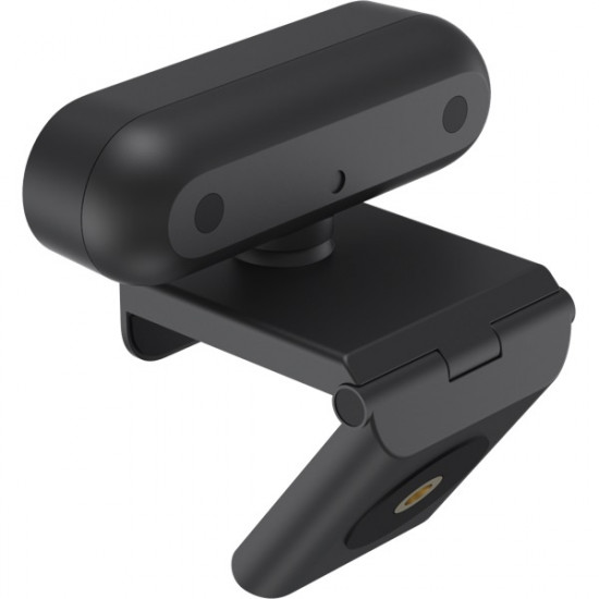 AverMedia PW310P Full HD webkamera fekete (40AAPW310AVS)