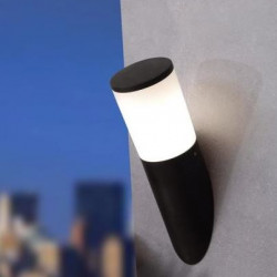Fumagalli AMELIA WALL 2,7K kültéri falilámpa fekete (DR2.570.000.AYM1R)