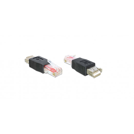 Delock USB anya - RJ45 apa adapter (65234)