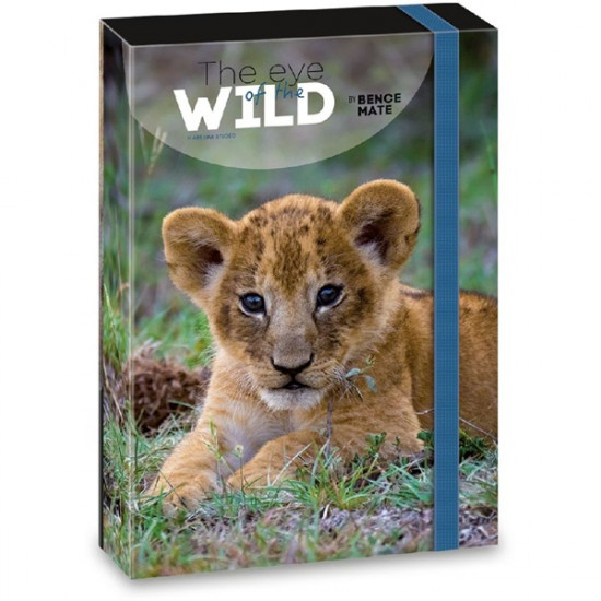 Ars Una The eyes of the wild lion 5216 A4 füzetbox (50852161) Ars Una The eyes of the wild lion 5216 A4 füzetbox (50852161)