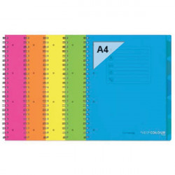 Orna Pro PP A4 120 lapos kockás vegyes színű spirálfüzet (ARD0234FLU)