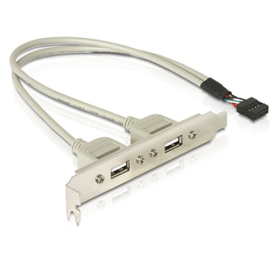 DELOCK Delock panel USB 2.0 x2 (71000)