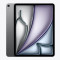 Apple 13
