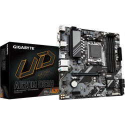 Gigabyte GA-A620M DS3H