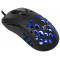 WHITE SHARK AZRAEL-B, GM-5013B gamer egér,6D, fekete, 7200 dpi, RGB (WS GM-5013B) WHITE SHARK AZRAEL-B, GM-5013B gamer egér,6D, fekete, 7200 dpi, RGB (WS GM-5013B)