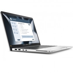 DELL Pro 13  Plus 2in1 (PB13255) 13.3