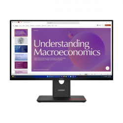 LENOVO Monitor - ThinkVision T24D-40; 23,8