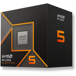 AMD Ryzen5 9600 Box processzor