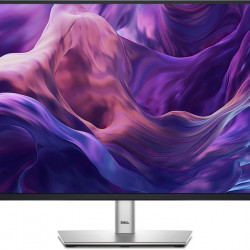 DELL LCD IPS Monitor 24