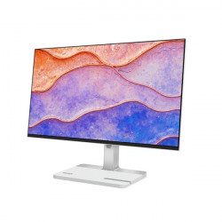 LENOVO Monitor - ThinkVision L24D-4C; 23,8
