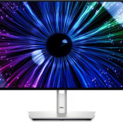 DELL LCD Monitor 23,8