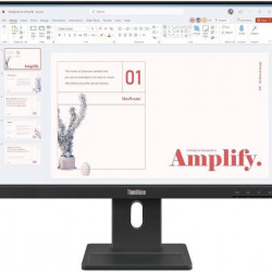LENOVO Monitor - ThinkVision E24-40; 23,8