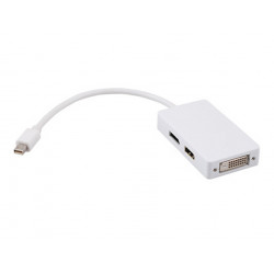 Rainbow mini DISPLAY - DISPLAY/HDMI/DVI converter (VACONMDP-PHD)